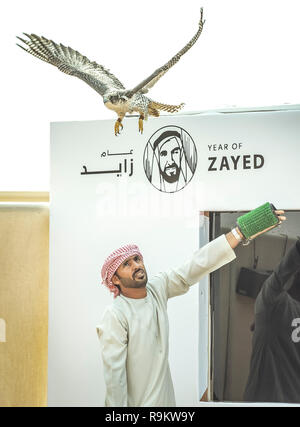 Le Madinat Zayed, Emirats Arabes Unis, le 22 décembre, 2018 : emirati man training son falcon Banque D'Images