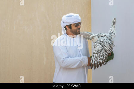 Le Madinat Zayed, Emirats Arabes Unis, le 22 décembre, 2018 : emirati man training son falcon Banque D'Images