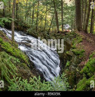 Cascade de chutes tonitruantes, Green Mountain National Forest, Woodstock, Vermont Banque D'Images