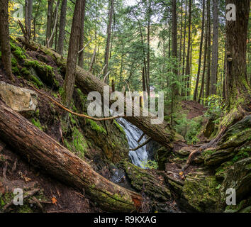 Cascade de chutes tonitruantes, Green Mountain National Forest, Woodstock, Vermont Banque D'Images