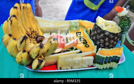 Assiette de fruits coupés mis sur la table affiche El Nido lieu mot écrit avec des morceaux de melon d'eau le long de l'écorce d'un perroquet figure sur un ananas roset Banque D'Images