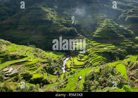 Les terrasses de riz de Banaue, Province d'Ifugao, Cordillera, Luzon, Philippines, Asie, Asie du Sud, UNESCO World Heritage Banque D'Images