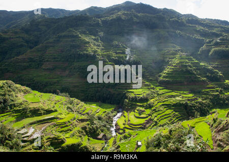 Les terrasses de riz de Banaue, Province d'Ifugao, Cordillera, Luzon, Philippines, Asie, Asie du Sud, UNESCO World Heritage Banque D'Images