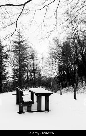 Un parc en hiver avec des arbres, une table et banc assis recouvert de neige Banque D'Images