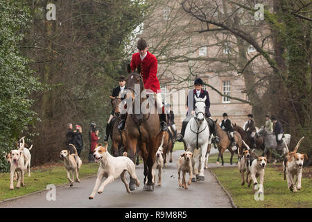 Les membres de l'Albrighton & Hunt forestiers se rassemblent à Hagley Hall près de Stourbidge dans les Midlands de l'Ouest pour le Boxing Day hunt. Banque D'Images