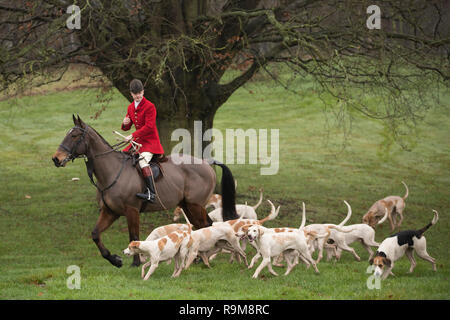 Les membres de l'Albrighton & Hunt forestiers se rassemblent à Hagley Hall près de Stourbidge dans les Midlands de l'Ouest pour le Boxing Day hunt. Banque D'Images