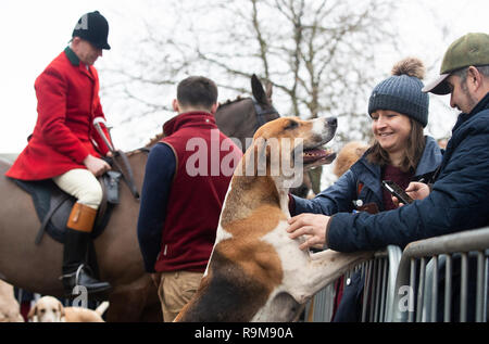 Les membres du public animal un chien en avant du Grove et Rufford Hunt, créée en 1952, de partir de Retford dans Yorkshire du Sud comme des centaines de boîtes à travers le pays pour rencontrer le Boxing Day traditionnelles de chasse. Banque D'Images