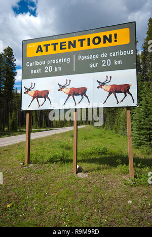 Panneau d'avertissement à propos de Caribou Crossing, Parc National Jasper, Rocheuses, Alberta, Canada Banque D'Images