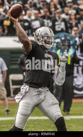 Oakland, Californie, USA. 27 Oct, 2013. Oakland Raiders quarterback Terrelle Pryor (2) col longue balle le dimanche, Octobre 27, 2013, dans la région de Oakland, Californie. Les raiders défait les Steelers 21-18. Crédit : Al Golub/ZUMA/Alamy Fil Live News Banque D'Images