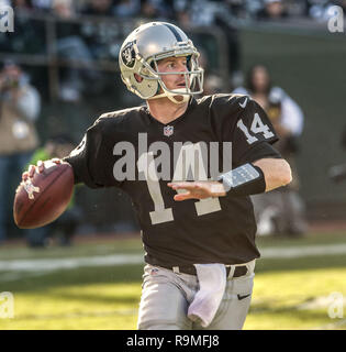 Oakland, Californie, USA. 24 nov., 2013. Oakland Raiders Quarterback Matt (14 McGloin) le dimanche, Novembre 24, 2013, dans la région de Oakland, Californie. Les Titans vaincu les Raiders 23-19. Crédit : Al Golub/ZUMA/Alamy Fil Live News Banque D'Images