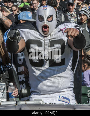 Oakland, Californie, USA. 24 nov., 2013. Raider fan sur Dimanche, Novembre 24, 2013, dans la région de Oakland, Californie. Les Titans vaincu les Raiders 23-19. Crédit : Al Golub/ZUMA/Alamy Fil Live News Banque D'Images