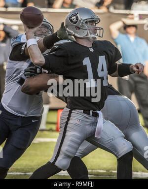 Oakland, Californie, USA. 24 nov., 2013. Oakland Raiders Quarterback Matt (14 McGloin) le dimanche, Novembre 24, 2013, dans la région de Oakland, Californie. Les Titans vaincu les Raiders 23-19. Crédit : Al Golub/ZUMA/Alamy Fil Live News Banque D'Images