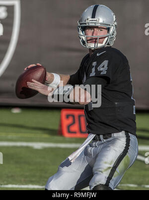 Oakland, Californie, USA. 24 nov., 2013. Oakland Raiders Quarterback Matt (14 McGloin) le dimanche, Novembre 24, 2013, dans la région de Oakland, Californie. Les Titans vaincu les Raiders 23-19. Crédit : Al Golub/ZUMA/Alamy Fil Live News Banque D'Images