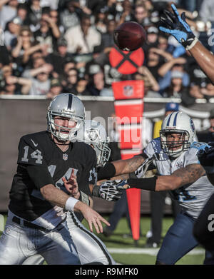 Oakland, Californie, USA. 24 nov., 2013. Oakland Raiders Quarterback Matt (14 McGloin) le dimanche, Novembre 24, 2013, dans la région de Oakland, Californie. Les Titans vaincu les Raiders 23-19. Crédit : Al Golub/ZUMA/Alamy Fil Live News Banque D'Images