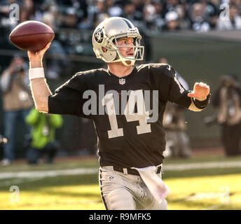 Oakland, Californie, USA. 24 nov., 2013. Oakland Raiders Quarterback Matt (14 McGloin) le dimanche, Novembre 24, 2013, dans la région de Oakland, Californie. Les Titans vaincu les Raiders 23-19. Crédit : Al Golub/ZUMA/Alamy Fil Live News Banque D'Images