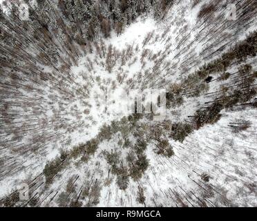 Mohe, Mohe, Chine. Dec 26, 2018. Mohe, CHINE-Snow scenery du Village de Beiji Mohe, nord-est de la Chine, la province de Heilongjiang. Crédit : SIPA Asie/ZUMA/Alamy Fil Live News Banque D'Images