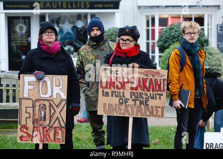 Ashford, Kent, UK. Dec 26, 2018. La journée annuelle de la Boxe répondre Ashford Valley Tickham Hunt est en cours dans le centre de Rye, dans le Kent. Chiens et chevaux se rassemblent à la vigne 'Inn' pub à 11h avant de descendre la rue principale d'un auditoire très nombreux. Le climat est un climat doux et agréable 8C pour cette période de l'année. Les militants des droits des animaux et les manifestants contre la chasse se tenir en face de la chasse composé avec des bannières qui lisez 'pour fox' et 'l'indicible dans le plein exercice de l'uneatable'. Crédit : Paul Lawrenson/ Alamy live news Banque D'Images