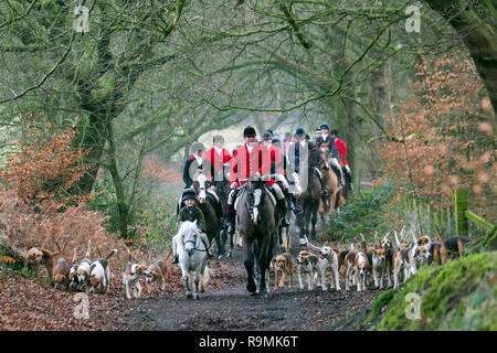 Chorley, Lancashire, Royaume-Uni. 31/12/2018 26. Boxing day Hunt au Rivington. Chevaux et chiens retournés à Rivington pour Holcombe Hunt's Boxing Day traditionnelles rencontrez. Des centaines de spectateurs se sont réunis pour soutenir le ride out, comme ils se mettent en route pour un trajet de trois heures après le son de la corne. Vivre avec des chiens de chasse de carrière a été interdit en 2004, après que le président de la Chambre des communes a invoqué la Loi sur le Parlement pour forcer l'adoption du projet de loi. L'Holcombe Hunt est titulaire répond à l'ensemble de l'ensemble du Lancashire, mais leur rassemblement Boxing Day est traditionnellement tenu à Rivington. /AlamyLiveNews MediaWorldImages Crédit : Banque D'Images