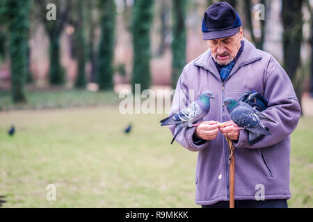 Varsovie, Pologne. 26 Décembre, 2018. Les oiseaux qui se nourrissent au cours de noël à pied dans Dreszer's Park à Mokotow, quartier chic de Varsovie. Tourterelles et pigeons se nourrir est un très commun cependant il y a des controverses, la façon dont elle influence les comportements naturels des oiseaux. Certains d'entre eux se comportent réellement comme l'alimentation des animaux à partir de l'homme de mains. Robert Pastryk / Alamy Live News Banque D'Images