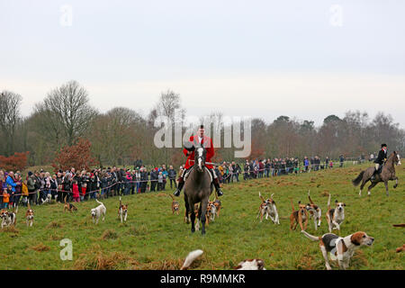 Rivington, Chorley, Lancashire, Royaume-Uni. 26 Décembre, 2018. Le Lendemain de Noël traditionnelle chasse Holcombe répondre à Rivington, granges, Chorley, Lancashire, Royaume-Uni, le 26 décembre 2018 Crédit : Barbara Cook/Alamy Live News Banque D'Images