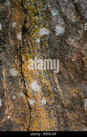 Les rochers de granit créer de belles textures. Banque D'Images