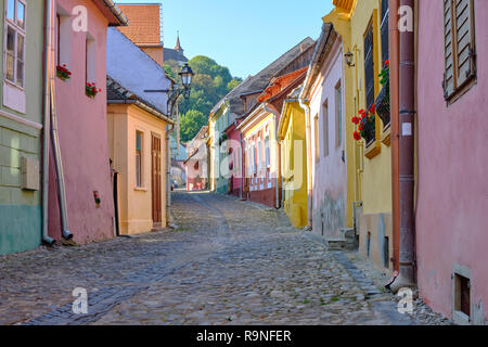 Pierre de la rue pavée vide Sighisoara, Roumanie avec ses maisons colorées de la vieille ville historique. Banque D'Images