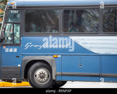 Montréal, Canada - le 6 novembre 2018 : Greyhound logo sur un bus passant par autocar avec des effets de flou de vitesse. Greyhound Canada est l'un des principaux entre Banque D'Images