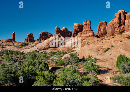 Jardin d'Eden, Arches National Park, Moab, Utah, USA, Amérique du Nord Banque D'Images