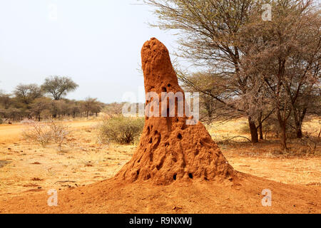 Termitaria termitière géante Afrique Namibie Banque D'Images