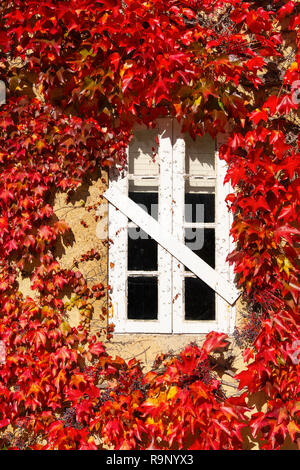 Fenêtre blanche et les feuilles d'automne dans une maison, Santander. La Cantabrie, au nord de l'Espagne, l'Europe. Banque D'Images