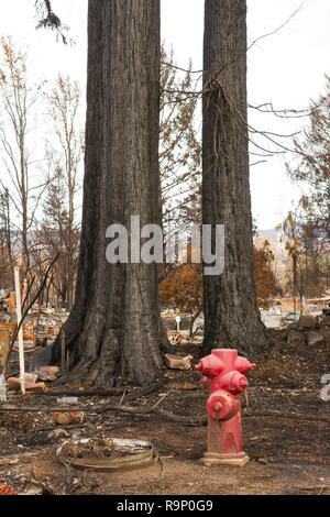 Arbres et Fontaine - Ces images ont été capturées dans les quartiers près de Santa Rosa, Californie, où les feux de friches au début d'octobre 2017. Banque D'Images