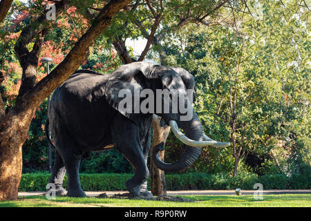 Statue de l'éléphant à Sun City ou Ville Perdue, grand centre de divertissement en Afrique du Sud comme Las Vegas en Amérique du Nord. Banque D'Images