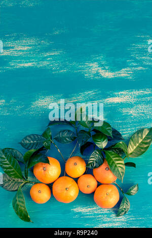 Mandarines mûres avec des feuilles vertes sur un fond bleu lumineux. Vue de dessus télévision jeter copy space Banque D'Images