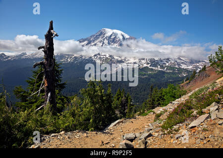 WA15597-00...WASHINGTON - Le sentier près de Pinnacle Pinnacle Peak selle avec vue sur le mont Rainier dans Mount Rainier National Park. Banque D'Images