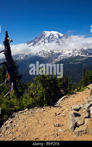 WA15598-00...WASHINGTON - Le sentier près de Pinnacle Pinnacle Peak selle avec vue sur le mont Rainier dans Mount Rainier National Park. Banque D'Images