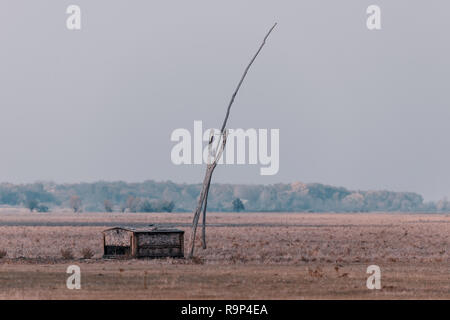 Bien typique de pasteur ou Berger dans le parc national de Hortobágy, Hongrie, puszta est célèbre des écosystèmes dans l'Europe et l'UNESCO World Heritage Site Banque D'Images