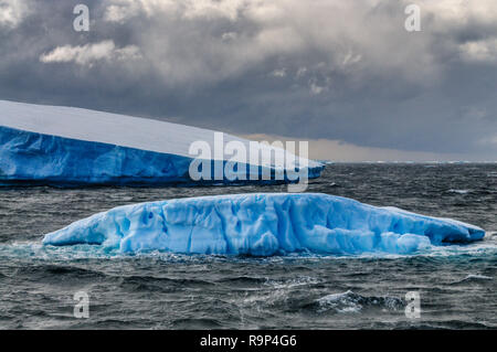 Icebergs géants au large de la côte de l'Antarctique Banque D'Images