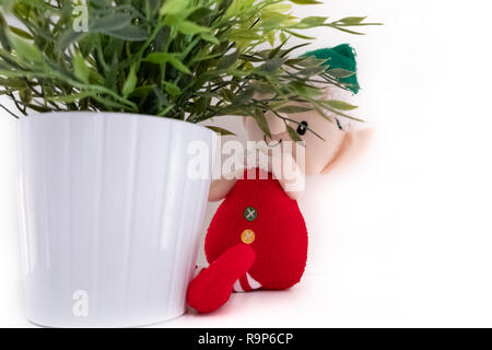 Santa's petite elfe se cache derrière plante en cuisine, une image de Noël pour enfants et adultes. Banque D'Images