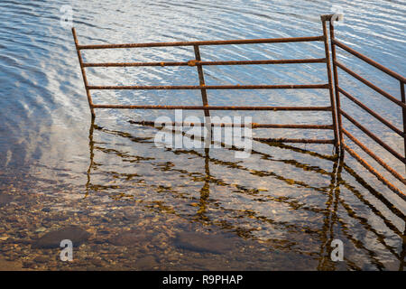 Clôture désaffecté porte dans un petit lac sur Aswan Banque D'Images