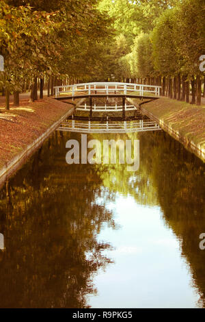 Blanc en bois passerelle au-dessus de l'eau petite rivière canal au milieu des arbres d'automne avec jaune rouge feuilles. Banque D'Images