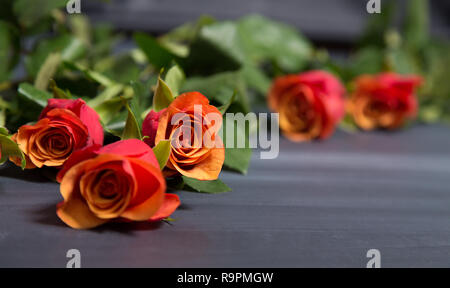 Un groupe de roses rouges et orange se sont réunis sur une surface sombre avec un espace blanc pour le texte. Bouquet sur un fond abstrait flou avec l'exemplaire de l'espace. Banque D'Images