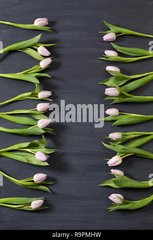 Tulipes fleurs quelques chalcboard sombre sur la surface. Bouquet sur un fond abstrait flou avec l'exemplaire de l'espace. Banque D'Images