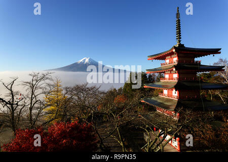 Mt. Fuji, le Japon vu de l'Chureito pagode à l'automne sur un matin froid. Banque D'Images