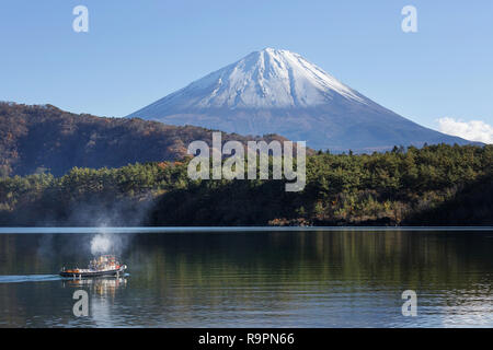 Mt. Fuji, Japon de l'après-midi d'automne au lac Motosu Banque D'Images