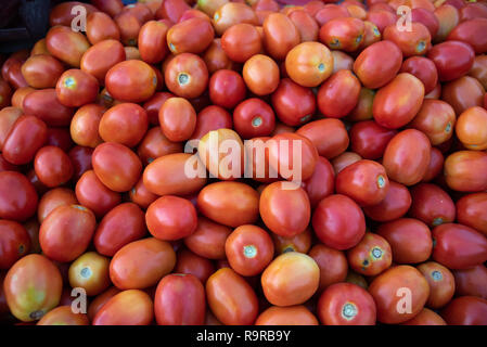 Des tomates rouges mûres pour la vente au marché de légumes à Jodhpur, Rajasthan, Inde. Banque D'Images
