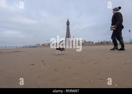 Blackpool, Royaume-Uni. 28 Dec, 2018. Météo nouvelles. Une femme entre ses chiens le long de la plage en face de la tour de Blackpool ce matin, avec chapeau, gants et manteau requise comme une brise fraîche souffle en provenance de la mer. Crédit : Gary Telford/Alamy Live News Banque D'Images