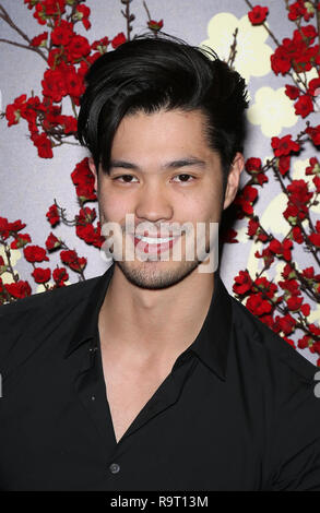 Las Vegas, Nevada, États-Unis. 28 décembre 2018. 28 décembre 2018 - Las Vegas, Nevada - Ross Butler. Ouverture DU MOTT 32 de Hong Kong au Palazzo du Venetian Resort. Crédit photo : MJT/Admedia Banque D'Images