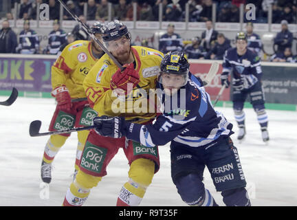 Munich, Bavière, Allemagne. 28 Dec, 2018. De gauche Alexander BARTA (Duesseldorf), Fabio WAGNER (Ingolstadt), Ligue de hockey allemand .DEL, matchday33, ERC Ingolstadt vs Duesseldorfer EG, Ingolstadt, Saturn Arena, Dec 28, 2018, Source : Wolfgang Fehrmann/ZUMA/Alamy Fil Live News Banque D'Images