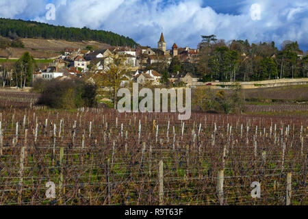 Vignes en hiver, près de Dijon, Beaune, bourgogne, france Banque D'Images