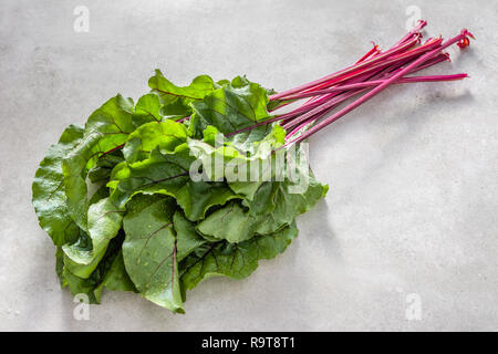 Produits biologiques récoltés - farm fresh feuilles de betterave, feuilles vertes et des tiges rouge Banque D'Images